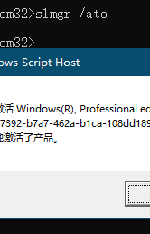 攻略“大汽车”来了